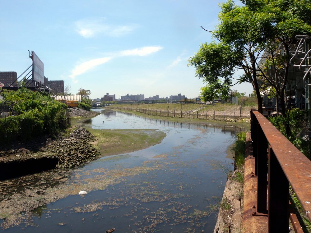 coney island creek environmental fund soliciting proposals